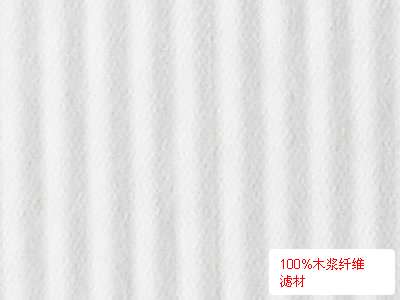 100%ľά˲